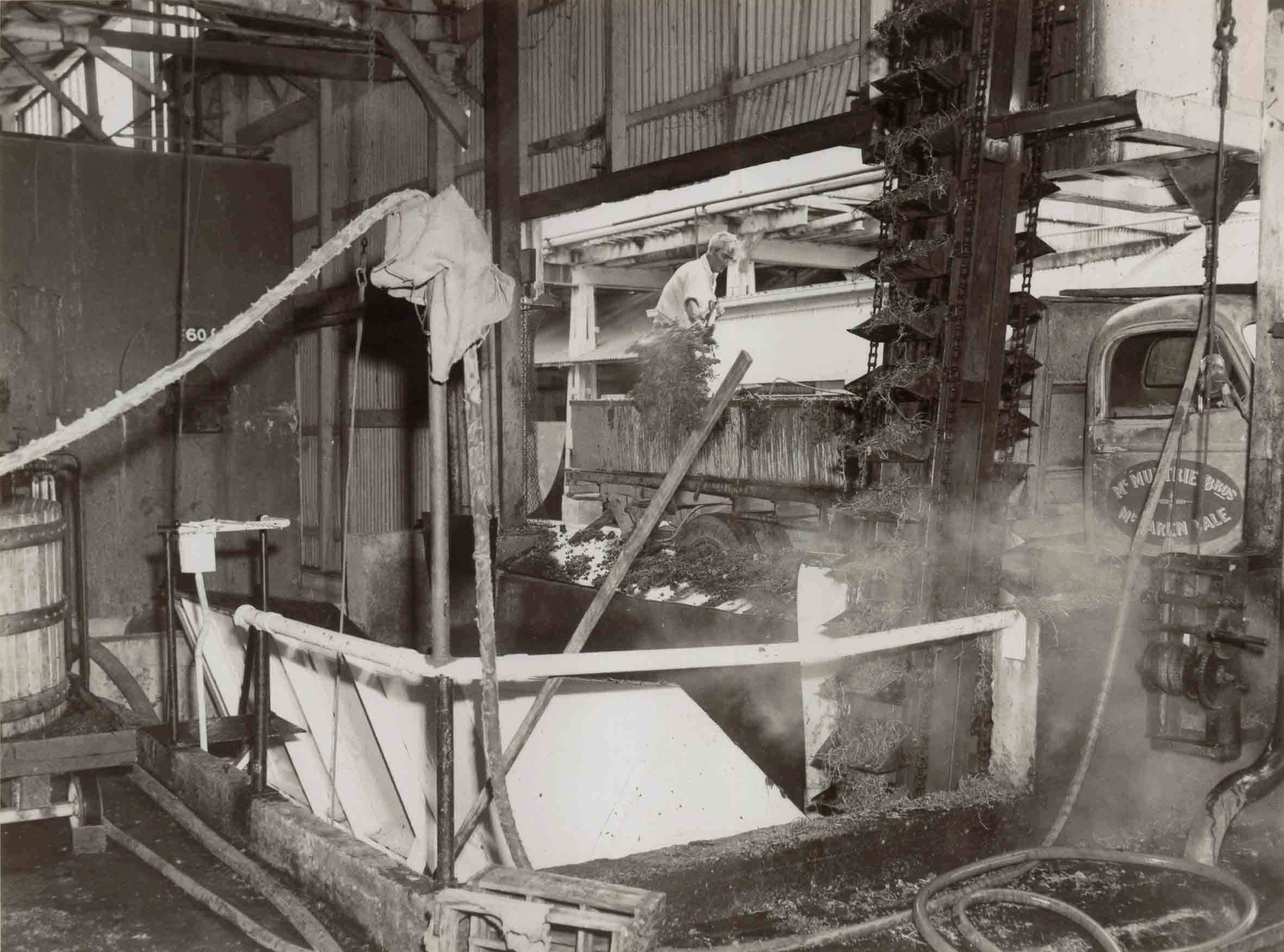 Grape Mills and Stemmers at Ewell Winery